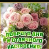 user8185769631441