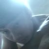crato003