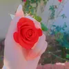 dodo_altmimi