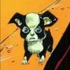 gorgolad