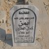 dy7jjy3pq4s4
