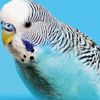 allogmail.com5