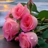 lesmar039