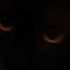 alemike06_