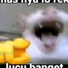 gnlmguyhwnve_