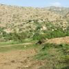 abusultanha