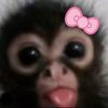 monke_0906
