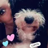 mariajulia6035