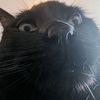 zozeekgh