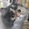 kikiki_143