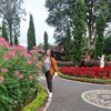 dayumelan_