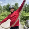 Luân(Xáp Trắng 🐝🍯)✅
