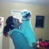 lindseyknight861