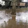 malletmaurice