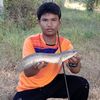 chanathipwuanpark