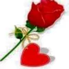 lng.t.ni.cao.duy