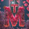 totoamz45