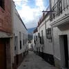 eljavi13_
