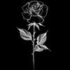 hasni...17
