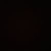 _chase019