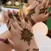 fatiz_mido