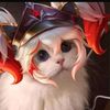 ilikepenguins6
