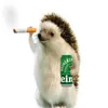 .hedgehoe