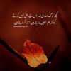 dhola071