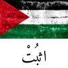 mahmoudhamed923
