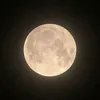 idaammn3_