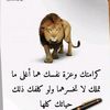 user8601615919209