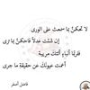 user4521577897307