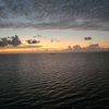 debbiedeweese671