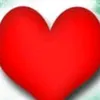 nzan8063988424029