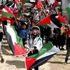 najibharhouri971
