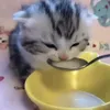 kiraaqlw