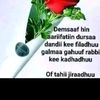 kadamtuudinii3