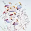 oceans_2025