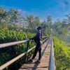 lindaaz788