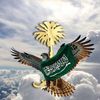 shaheen_r1