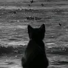 _26thaq6_