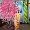 thuytien29_
