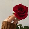 shoja_official_gaming