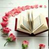 aboudihobloss3