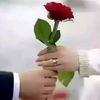 user259991870837