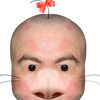 jolliron777