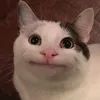 usere9l0f13ytr