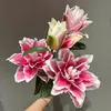 CÂY GIỐNG LIÊN VIỆT 3