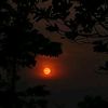 anival_069