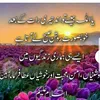 t.khan036